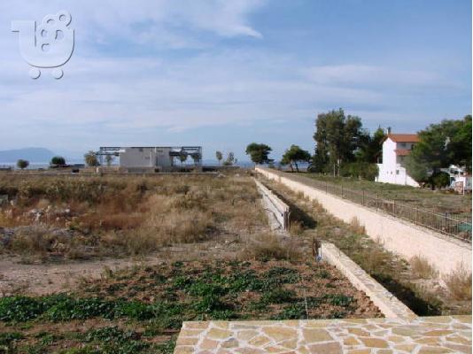 Sale plot with bulding and 2 villas in Greece